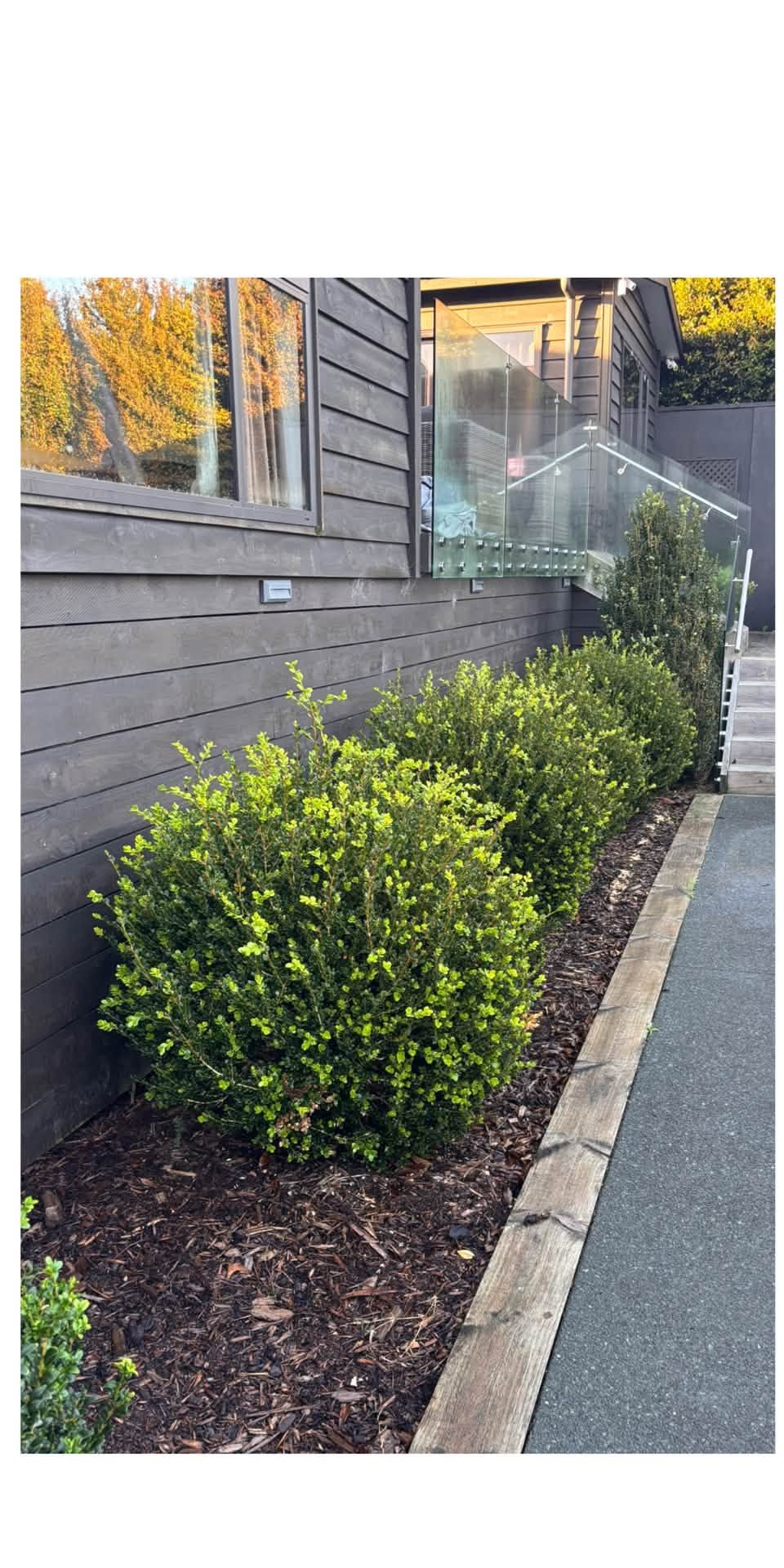 A tidy planted side garden by Leaf It With Me