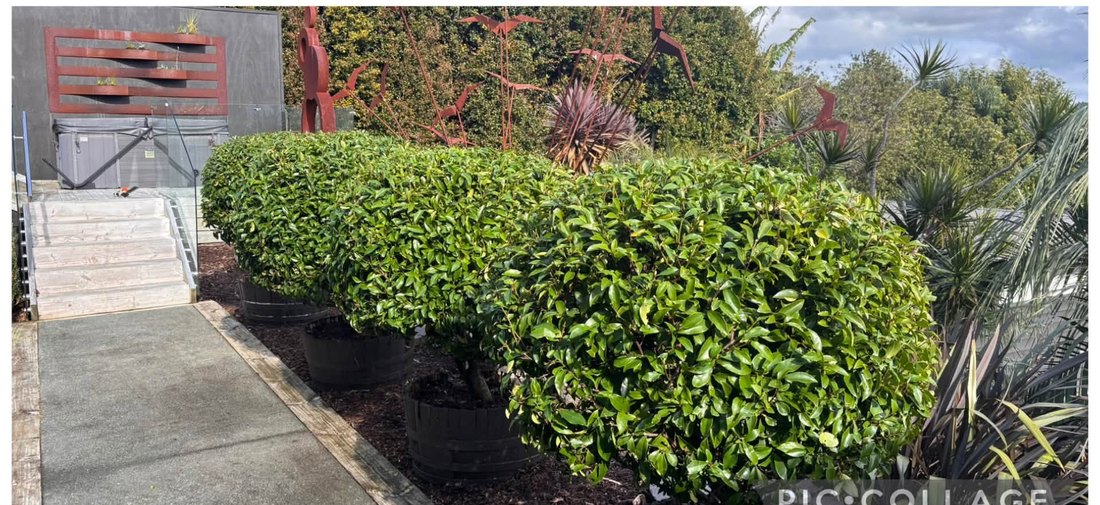 Mulching and Special Jobs