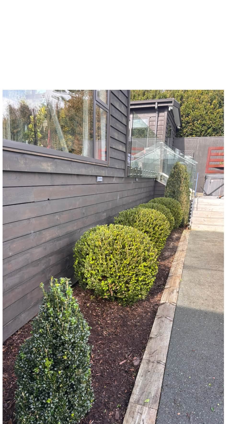 Planting and Garden Refresh