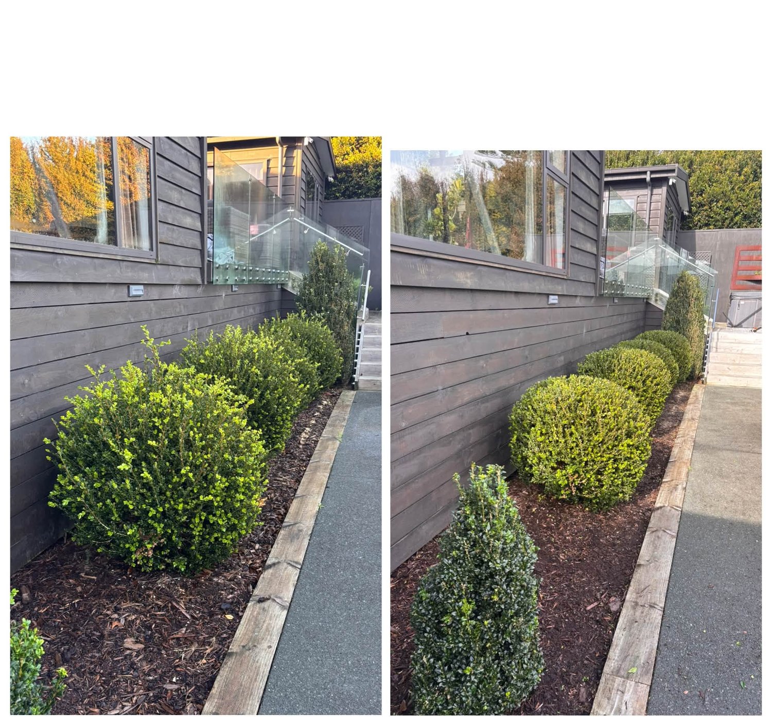 A tidied side garden with fresh planting and clean edges