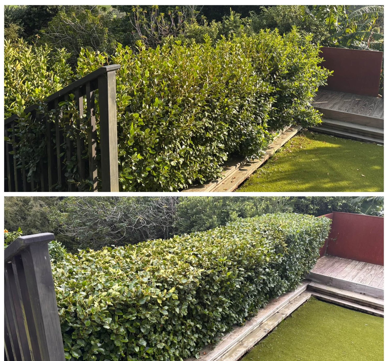 A neat hedge trimmed flat beside a deck and lawn