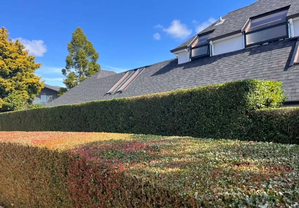 Example of mulching and special jobs